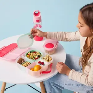 Boîtes à Repas