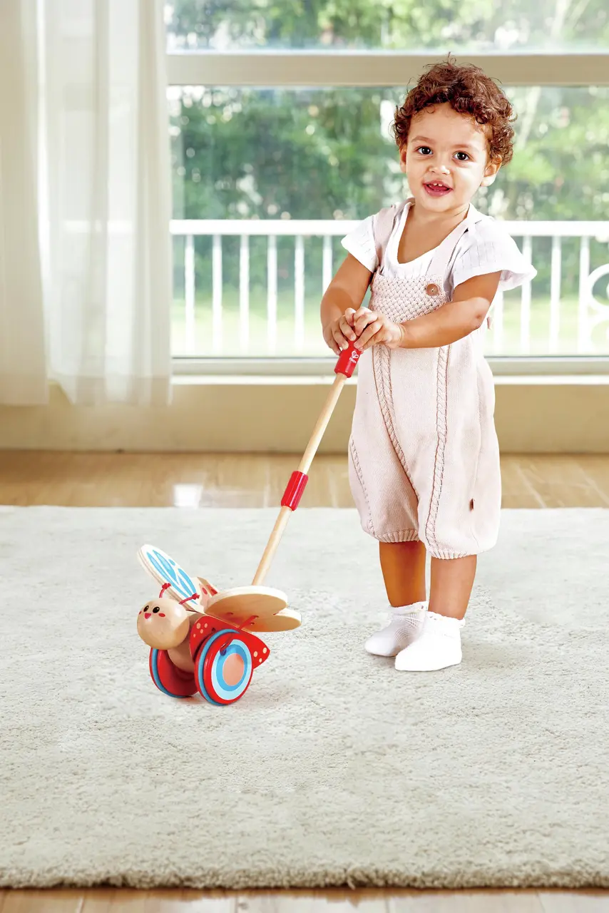 Hape Papillon à pousser