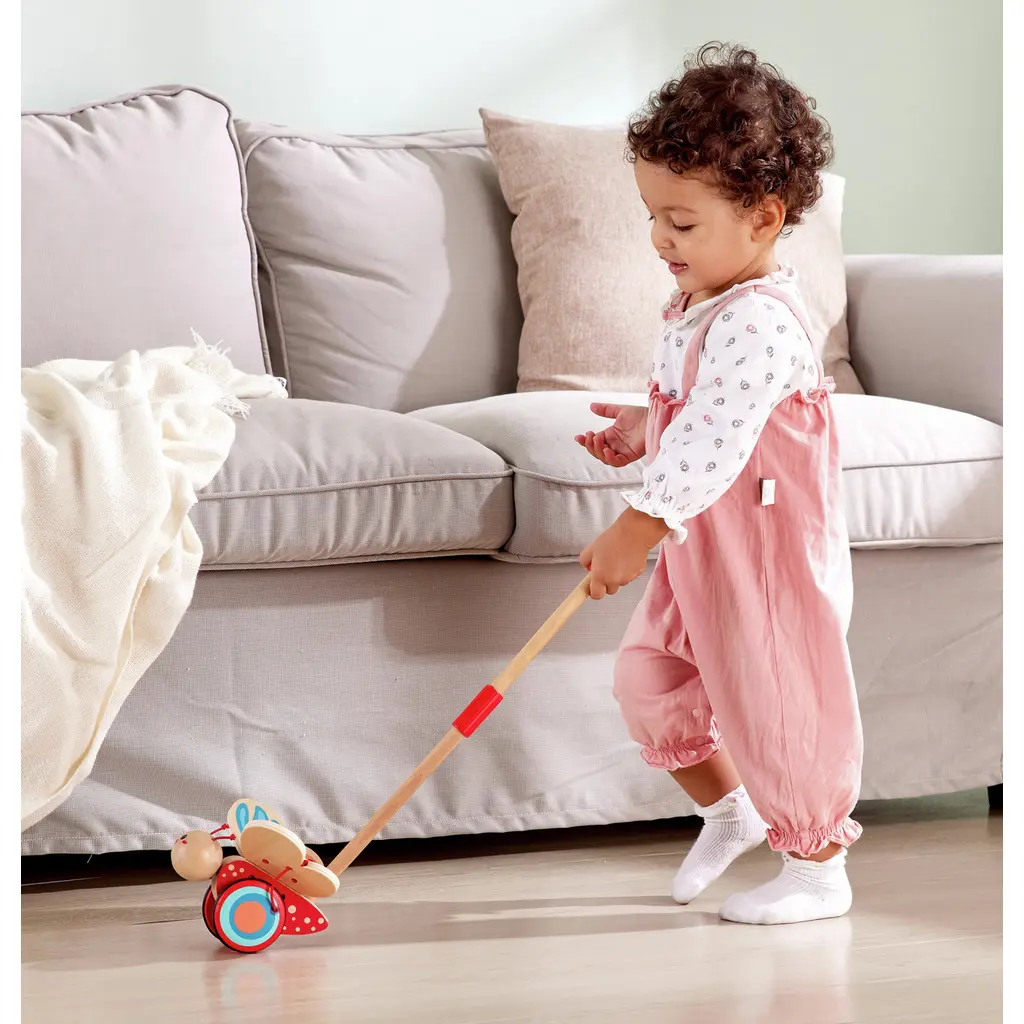 Hape Papillon à pousser
