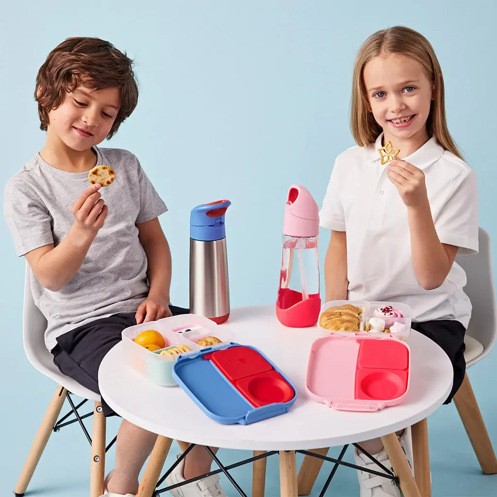 Mini lunchbox - flamingo fizz Bbox