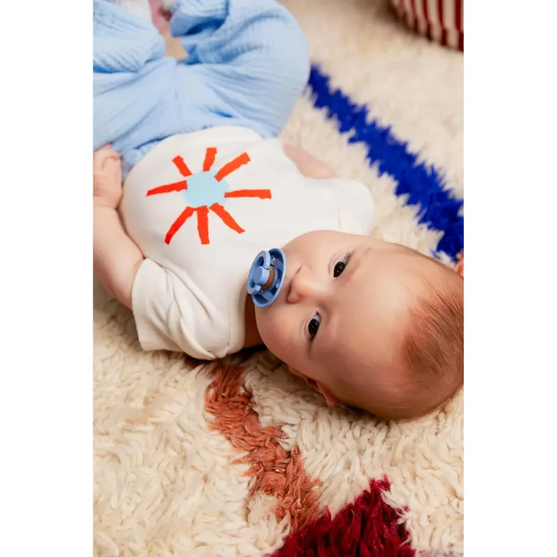 Sucette Bibs Colour Studio Lot de 2 – Ronde, Latex Naturel, Sans BPA – Ivoire, Vanille - Pin